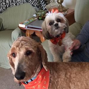 Meet your Posher, Kyle